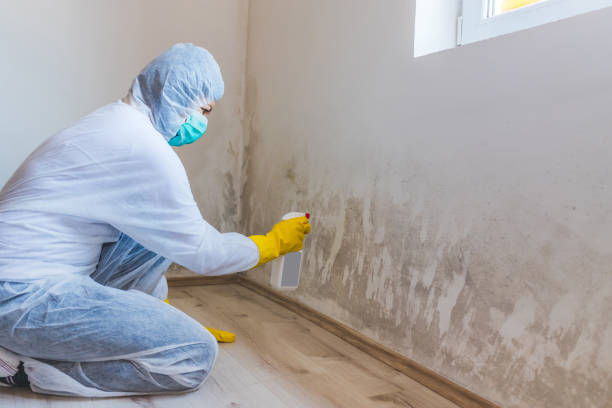Licensed Mold Remediation service in Benson, NC - 24 Hour Mold Removal