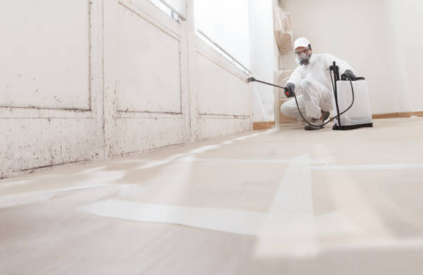 24/7 Emergency Mold Remediation experts in Benson, NC