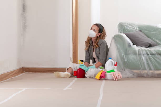 Reliable Mold Remediation contractor in Benson, NC by 24 Hour Mold Removal