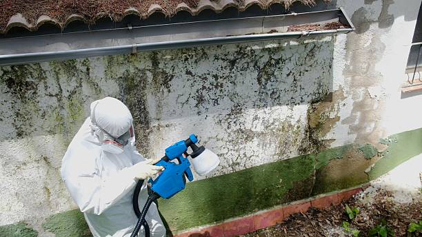 Top rated local Mold Remediation specialists in Benson, NC